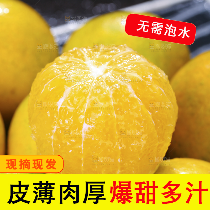 堆放着的爱媛果冻橙