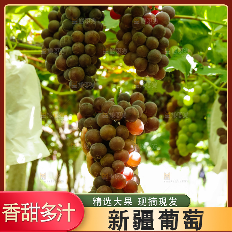手里拿着一串大葡萄