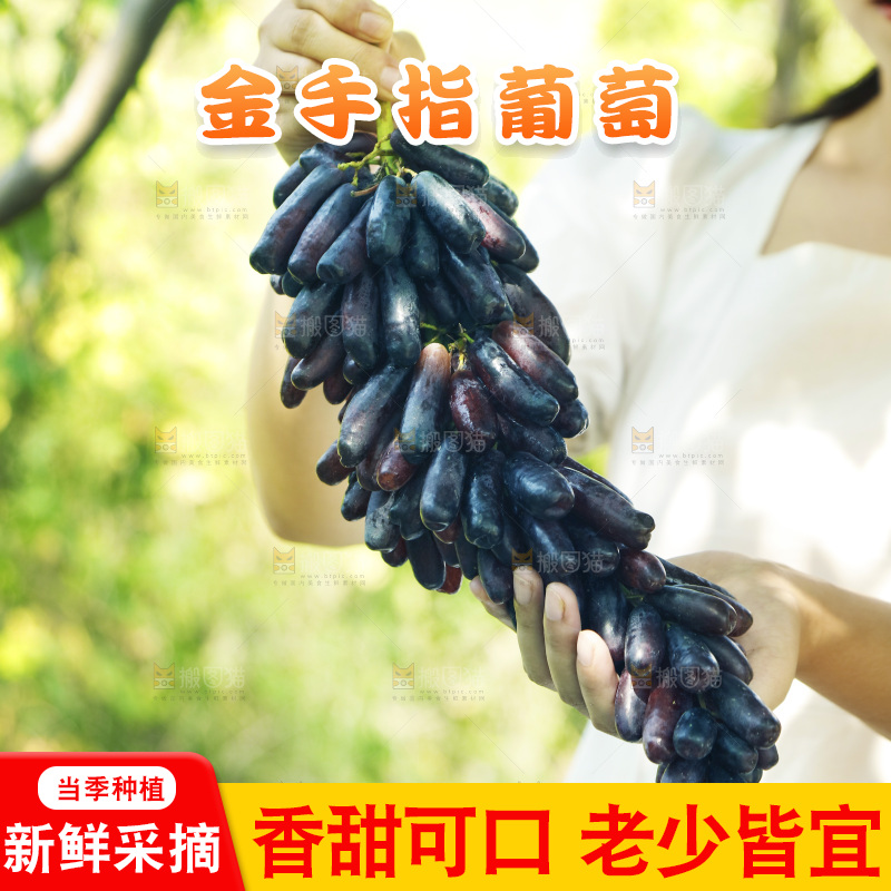 女孩手里拿着金手指葡萄