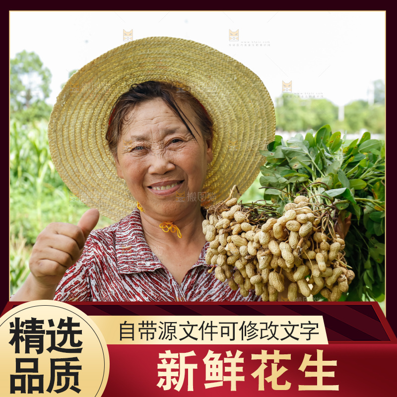 农民手里拿着新鲜花生