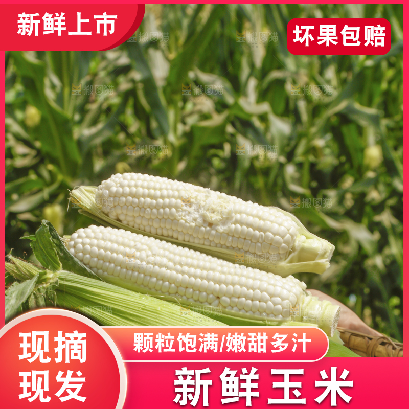 手里拿着一筐牛奶玉米