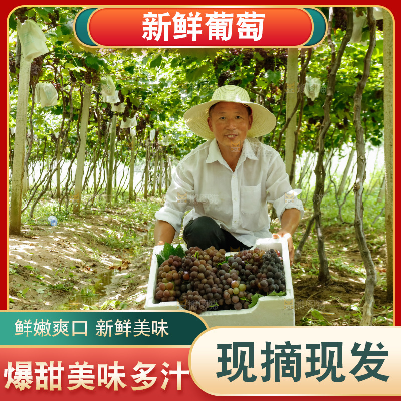 农民拿着一箱葡萄