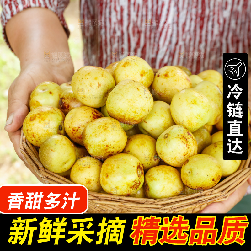 手里拿着一篮大荔冬枣