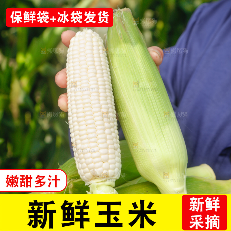 手里拿着牛奶玉米