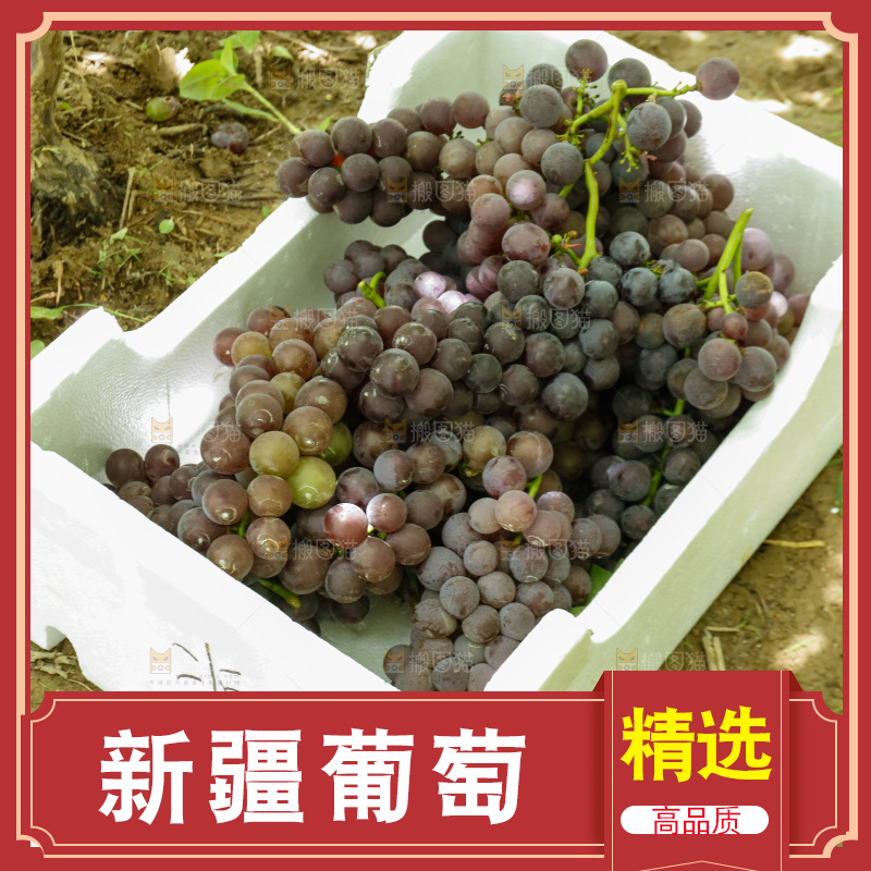 泡沫箱里的新疆葡萄