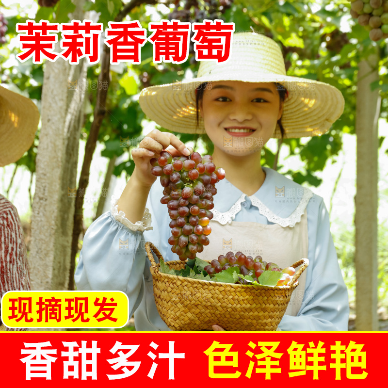 女孩拿着茉莉香葡萄