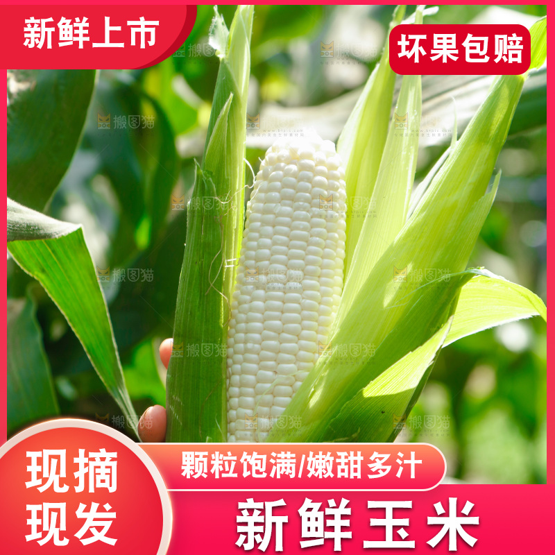 手里拿着牛奶玉米