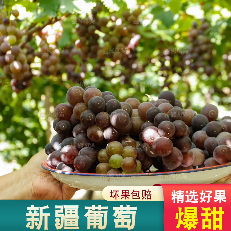 手里端着一盘新鲜葡萄