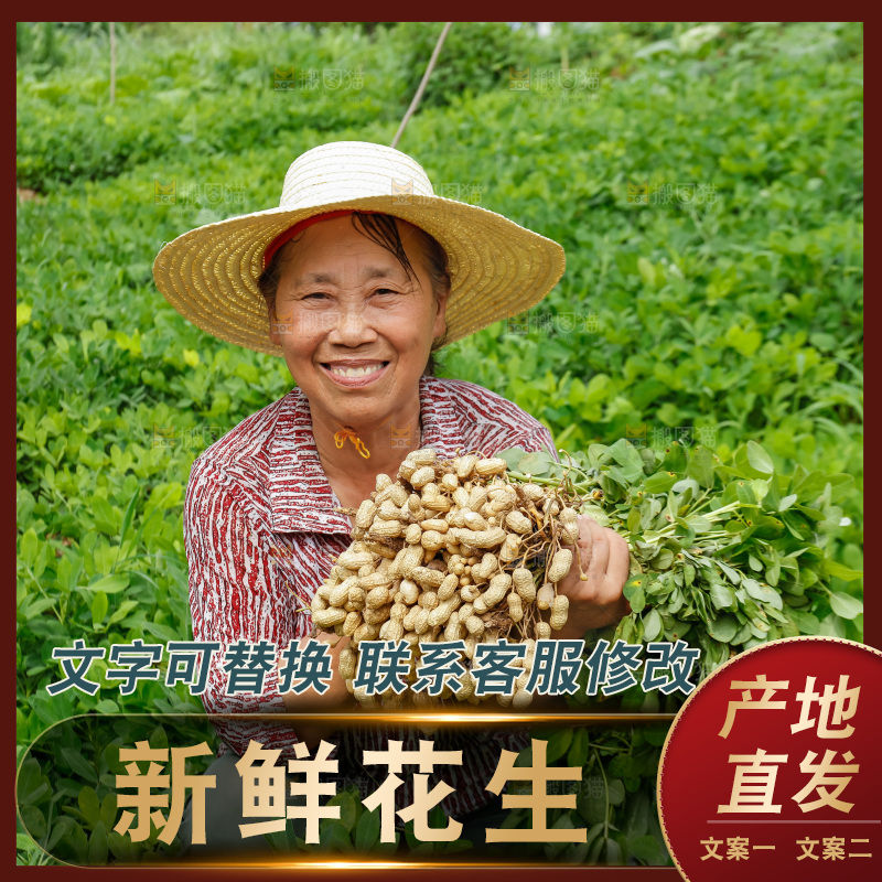 农民手里抱着新鲜花生