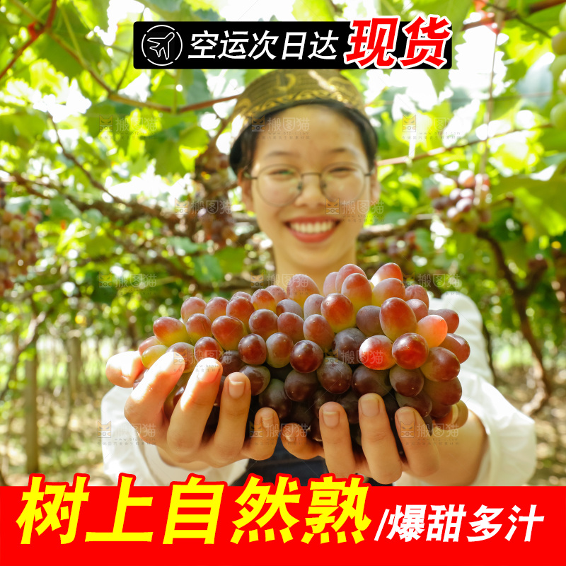 女孩拿着茉莉香葡萄