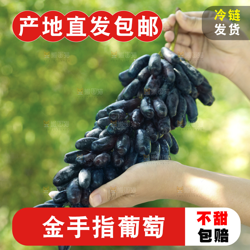 手里拿着一串蓝宝石葡萄