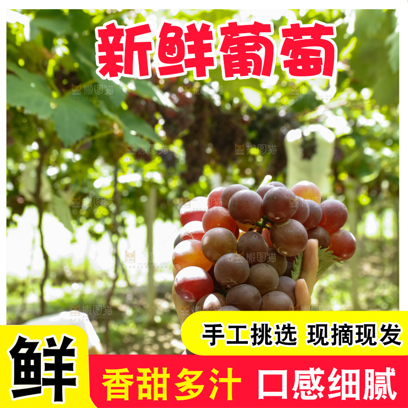 农民拿着一箱葡萄
