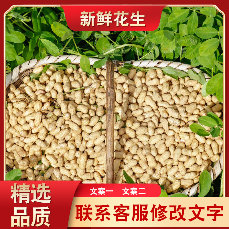 地里放着一筐现挖花生