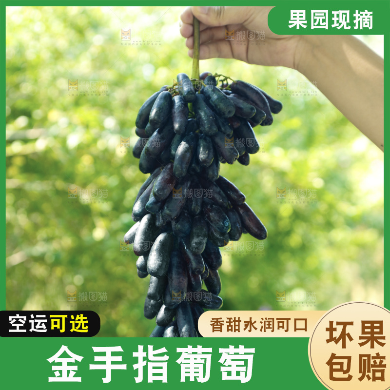 手里拿着一串蓝宝石葡萄