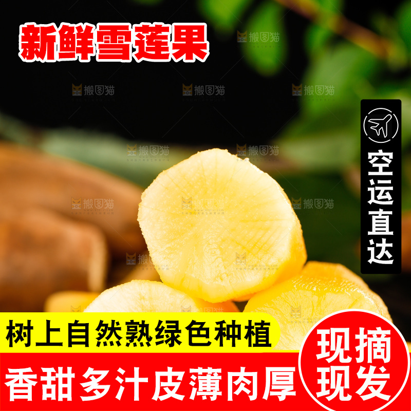 堆放着的天山雪莲果