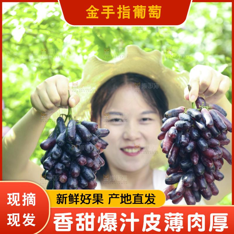 女孩手里拿着美人指葡萄