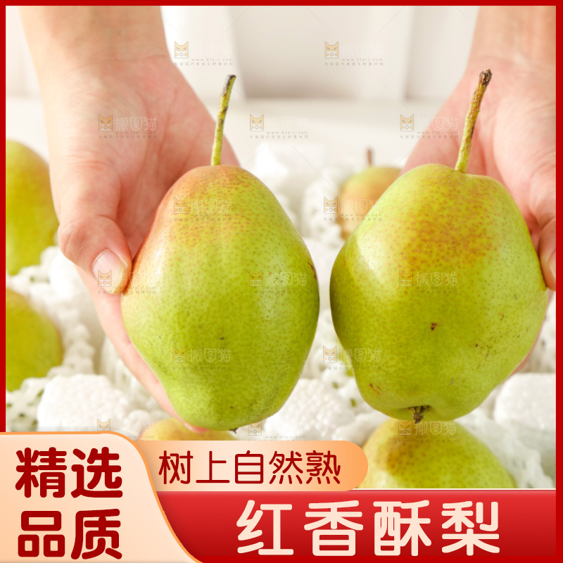 手里拿着红香酥梨