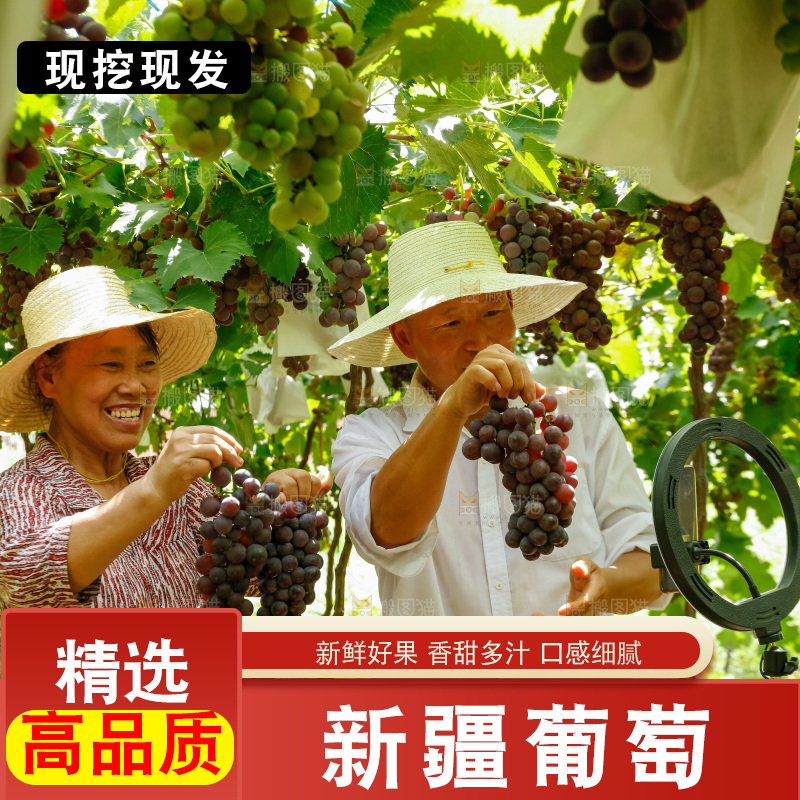 农民手里拿着大串葡萄