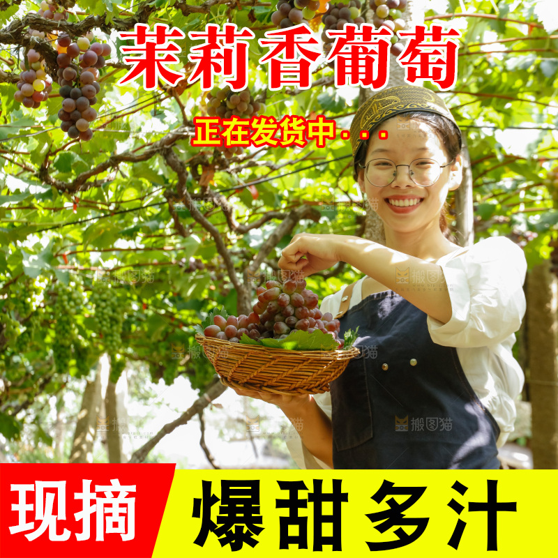 女孩拿着茉莉香葡萄