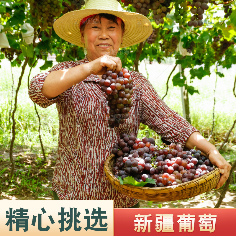 农民拿着一篮巨峰葡萄