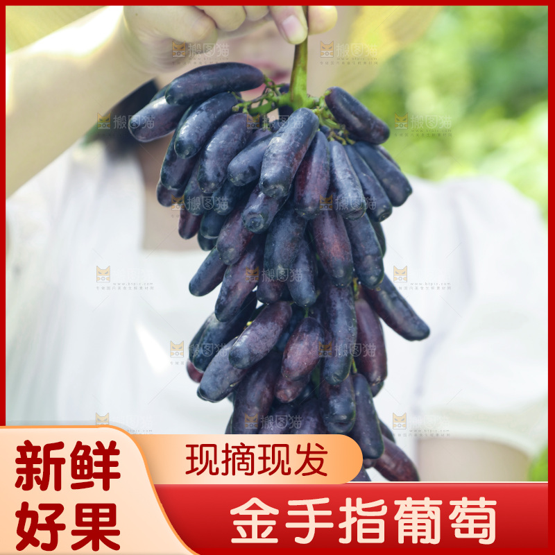 女孩手里拿着美人指葡萄