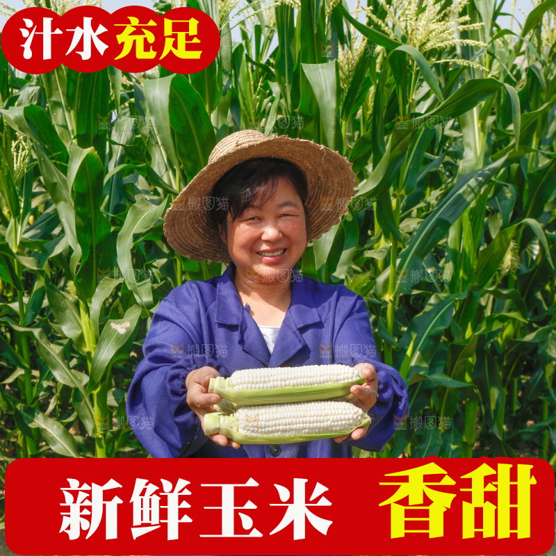 农民手里拿着牛奶玉米