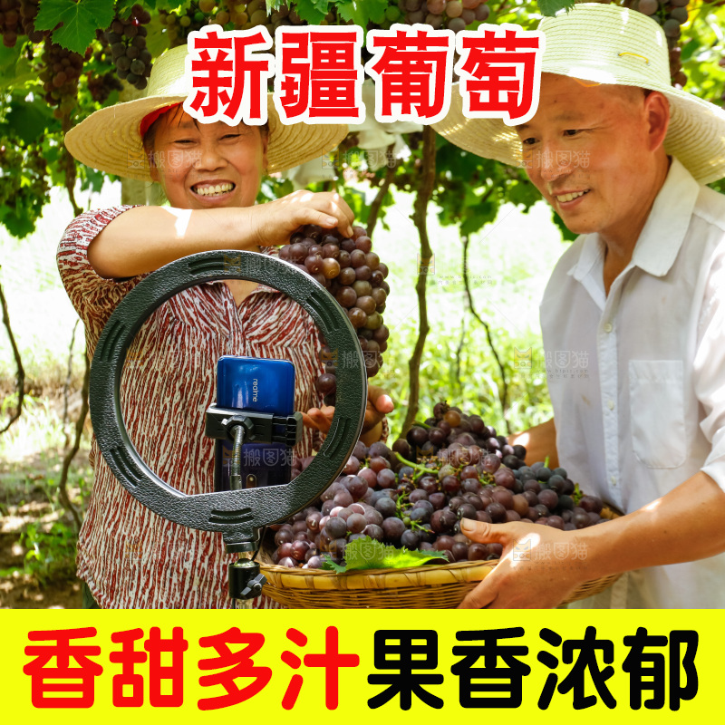 农民手里拿着新鲜葡萄