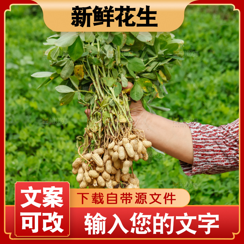 手里拿着现挖花生