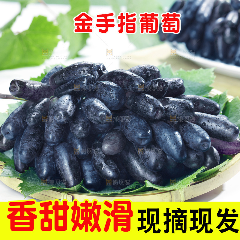 篮子里的无籽蓝宝石葡萄