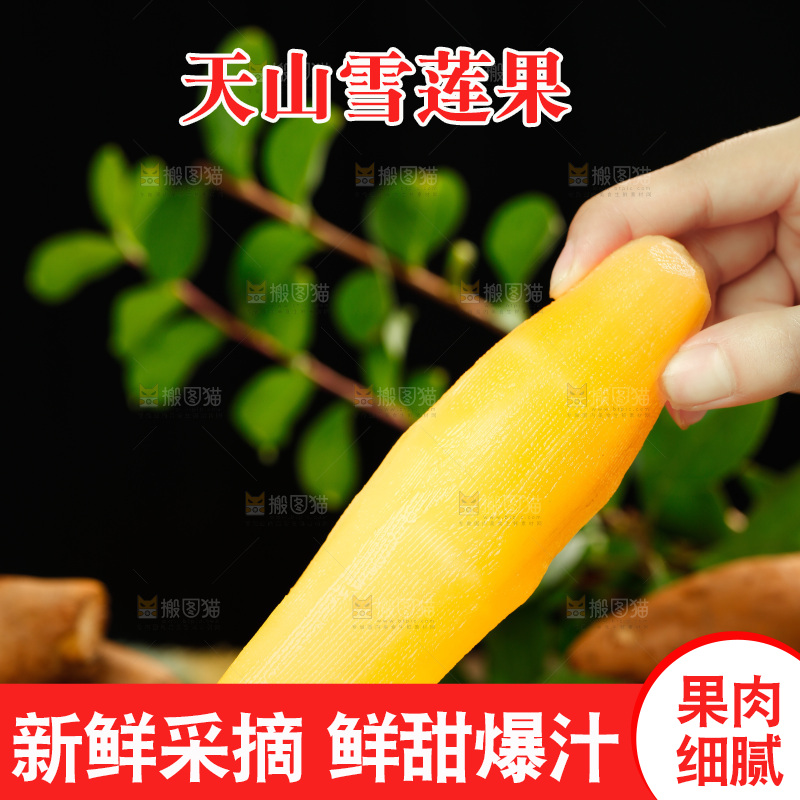 手里拿着黄心雪莲果