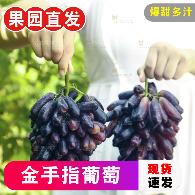 手里拿着无籽蓝宝石葡萄