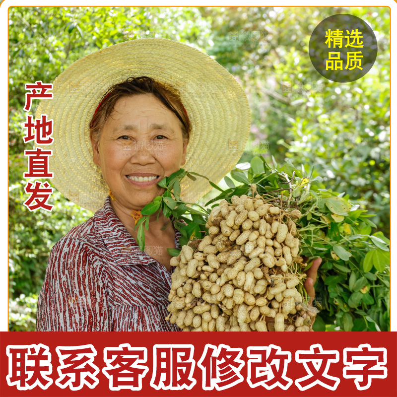 农民手里抱着新鲜花生