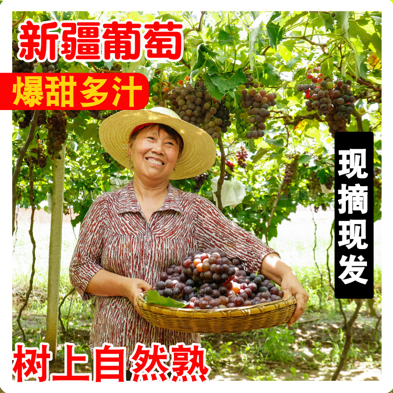 农民拿着一篮巨峰葡萄