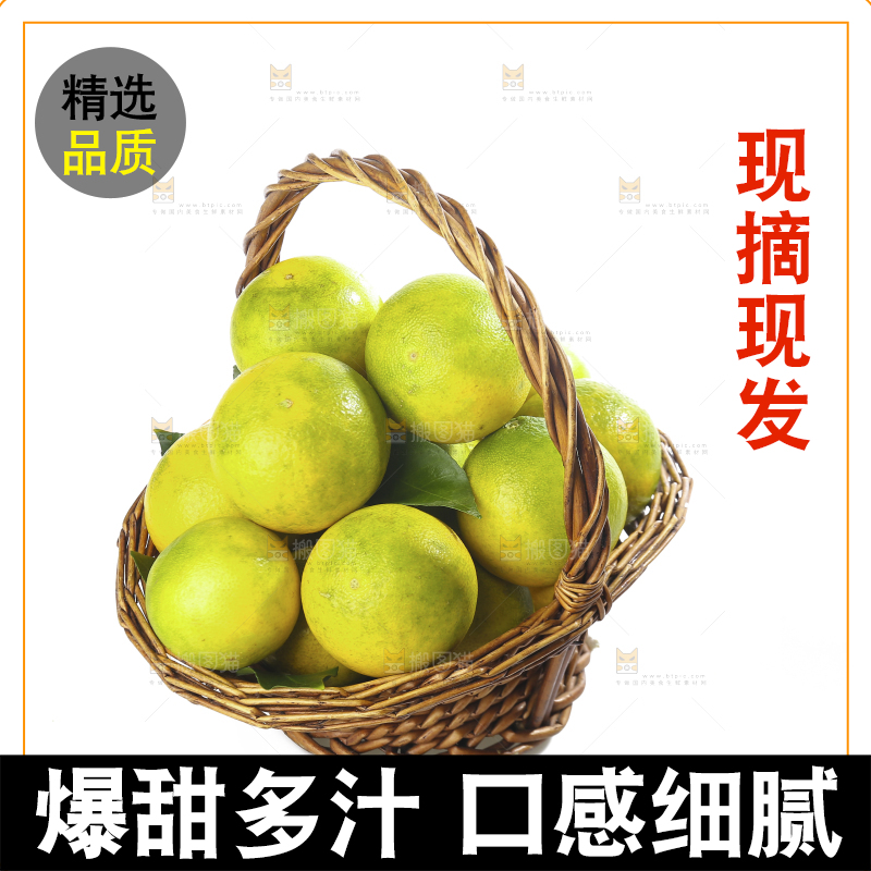 白底上的一篮爱媛果冻橙