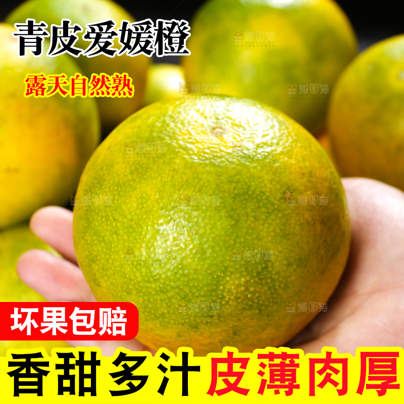 手里拿着爱媛果冻橙
