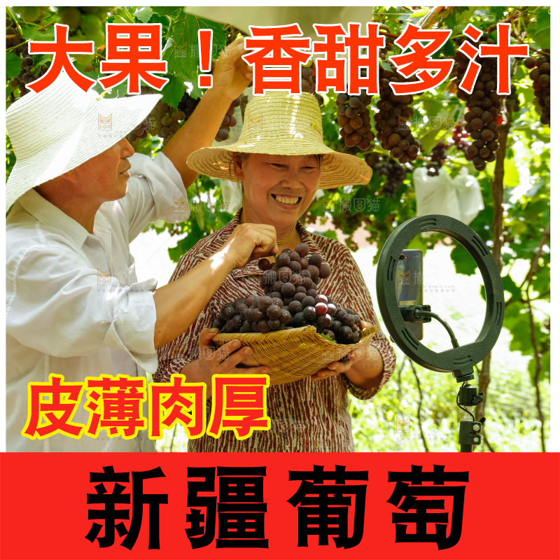 农民手里拿着大串葡萄
