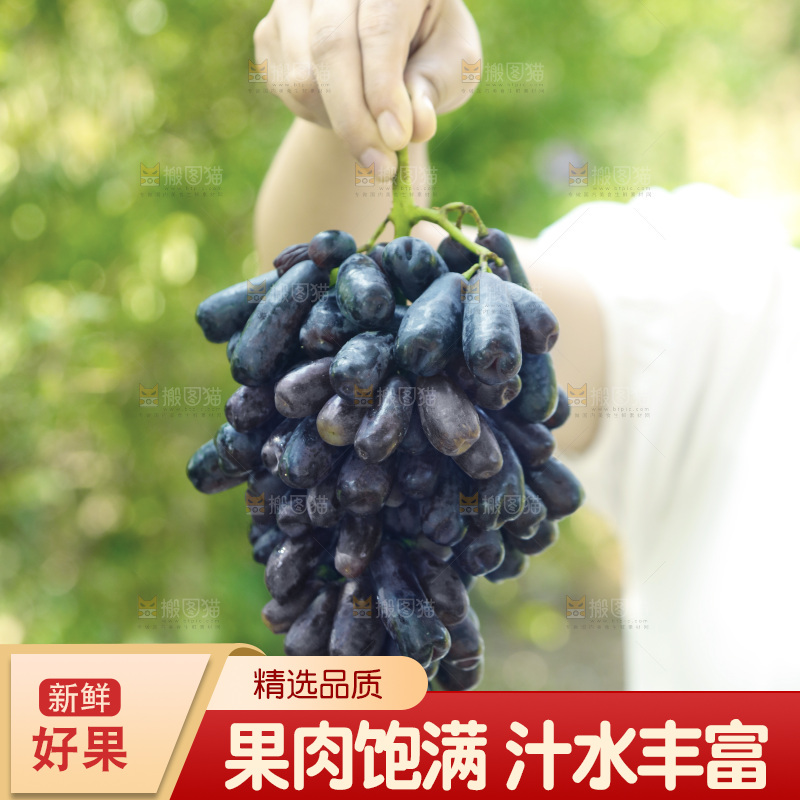 手里拿着一串蓝宝石葡萄