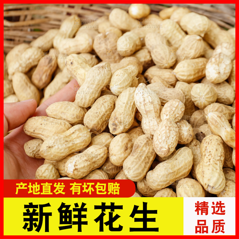 手里的拿着带壳花生