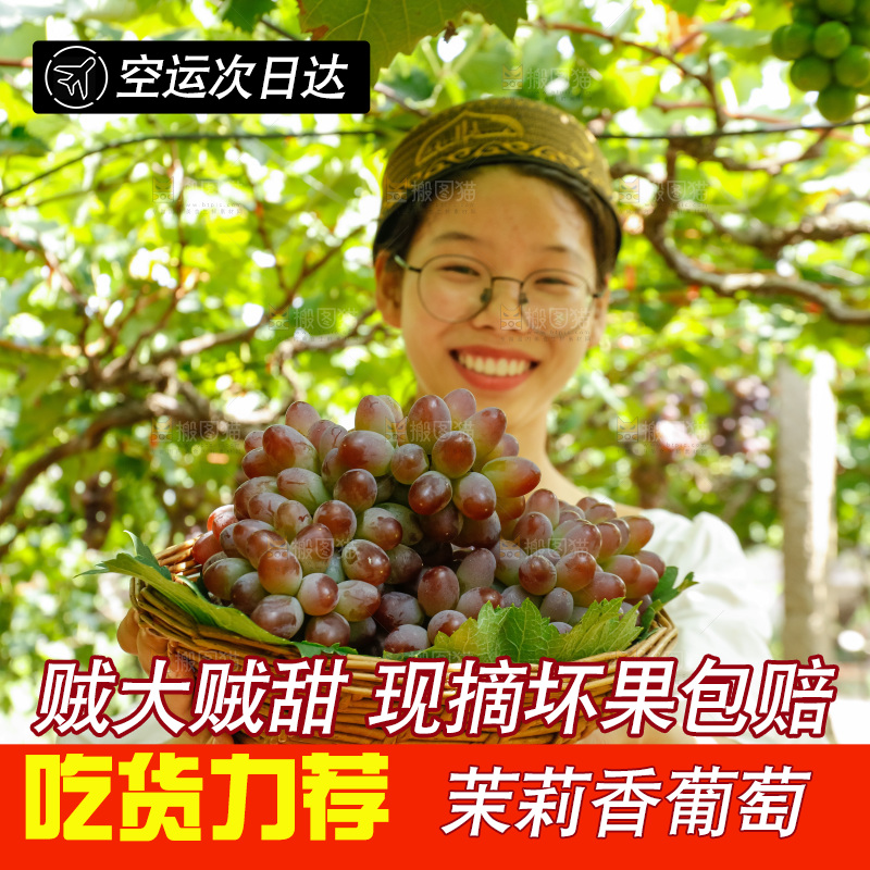 女孩拿着一篮茉莉香葡萄