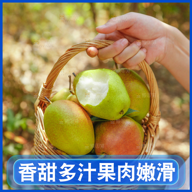 手里拿着一篮红香酥梨