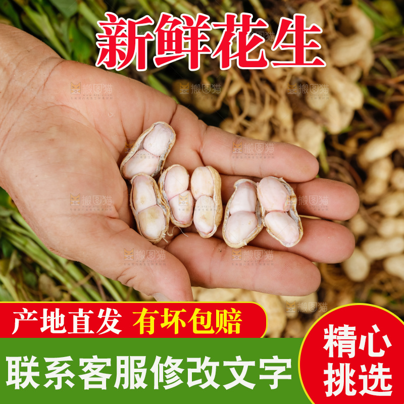 手里放着剥开的鲜花生
