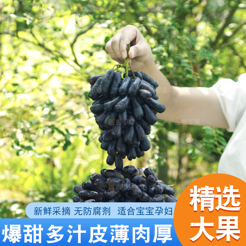 手里拿着蓝宝石葡萄
