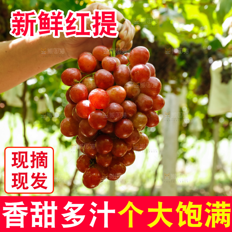 手里拿着红提葡萄