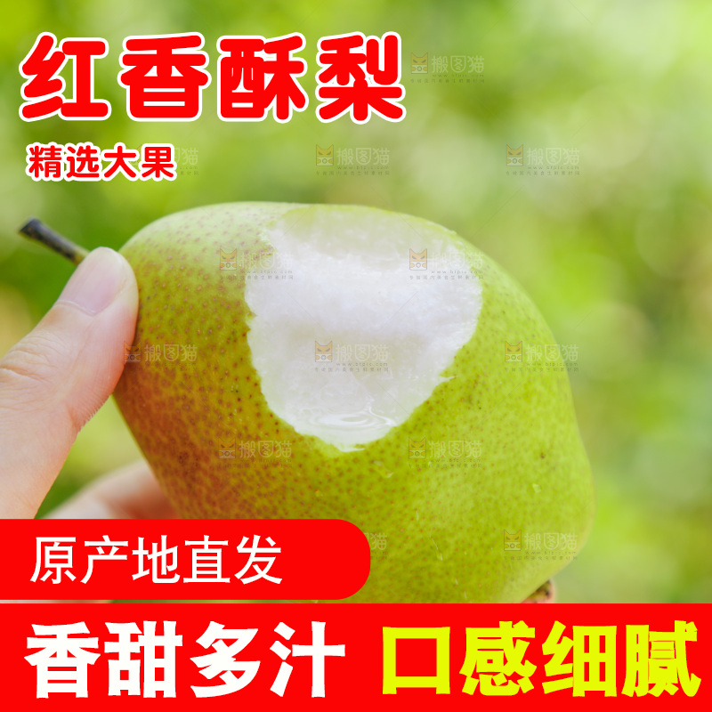 手里拿着红香酥梨