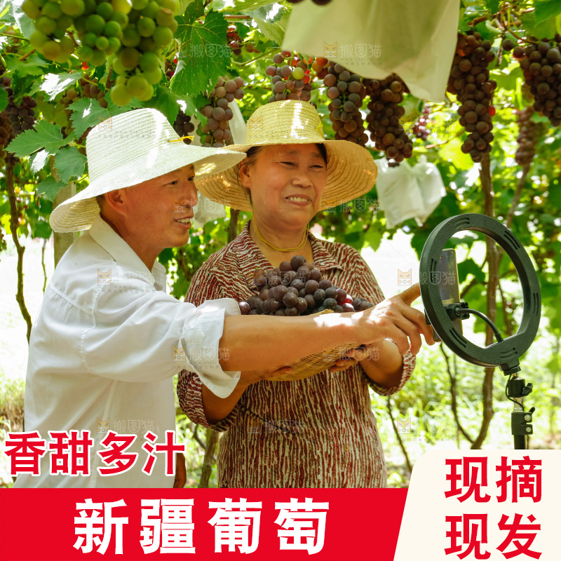 农民手里拿着葡萄