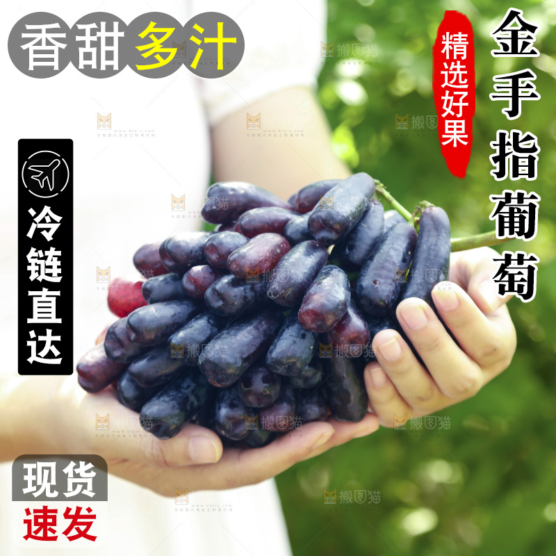 手里拿着美人指黑提