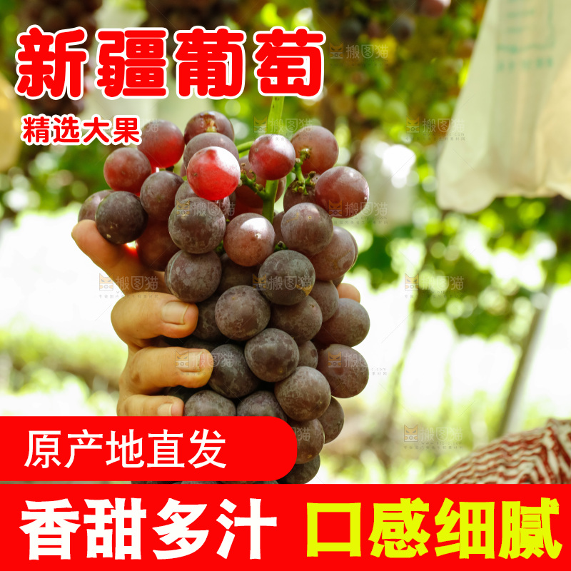 手里拿着一串葡萄