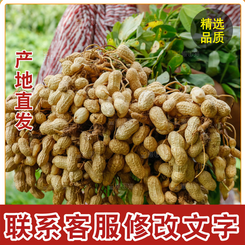手里拿着现挖花生
