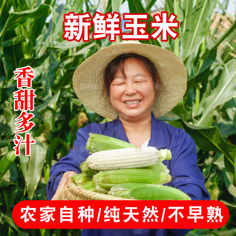 农民手里拿着一筐玉米