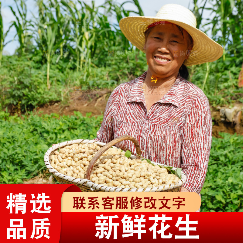农民抱着一筐新鲜花生